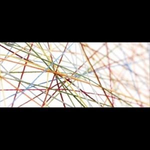 Meet your Posher, Alexis & nicholas